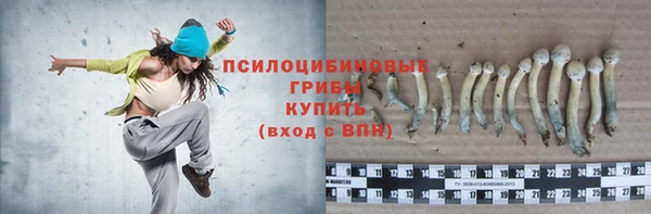 соль ск Волосово