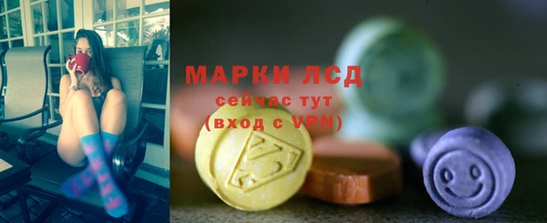 сатива Гусь-Хрустальный