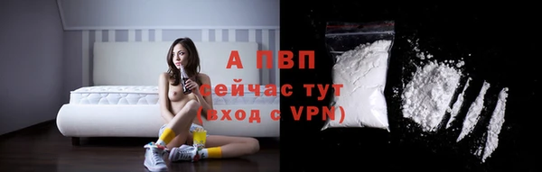 соль ск Волосово