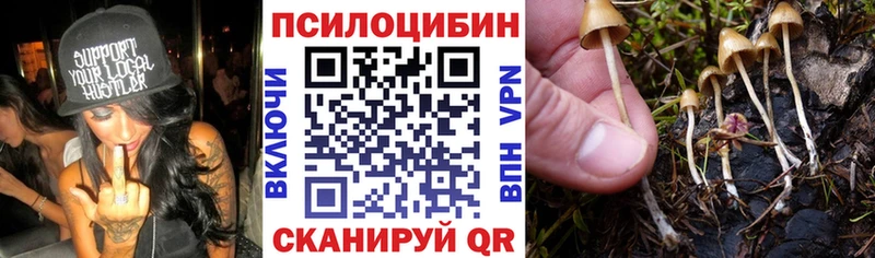 Псилоцибиновые грибы мухоморы Славянск-на-Кубани
