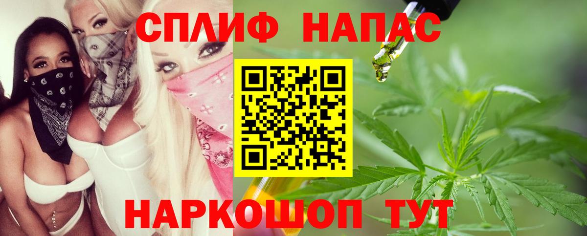 Бошки Шишки планчик Славянск-на-Кубани